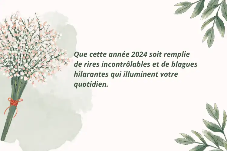 Meilleurs vœux drôles 2024